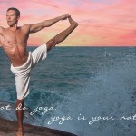 Kosta, creator of Vikasa yoga... Well, I agree with the first statement.
